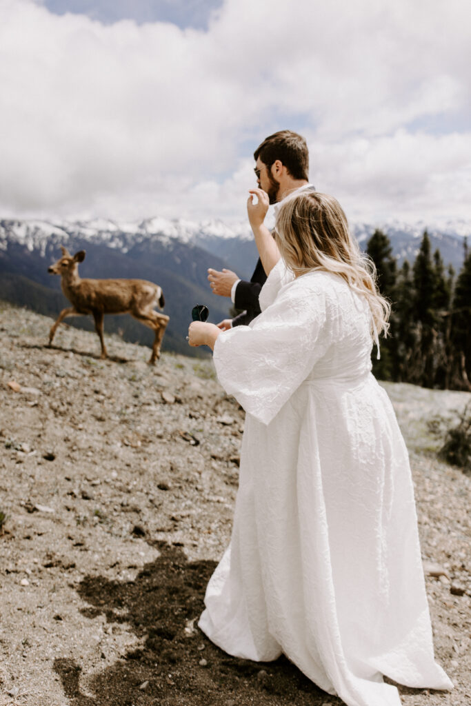 A couple stands on a mountainside while an elk walks by